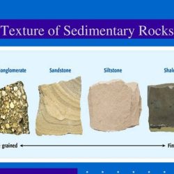 Sedimentary rocks identify